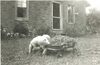 On the same day I got my first spanking, I was working hard in front of my grandmother’s house, filling my wagon with weeds. Summer of 1951.