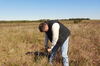 Photo courtesy of MU College of Agriculture, Food and Natural Resources
Taking soil samples for testing can save forage producers money by helping them apply the right amount of fertilizer.