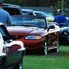 Photo by Sharon Wingert
Many colorful vehicles gathered for the Golden Harvest Days cruise-in held at 6 p.m. Friday, July 15, at the East Park baseball field.