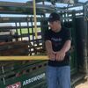Stetson Wiss, Lamar R-1 senior, is shown working calves at the Show Me Youth Ag Academy feedlot facility.